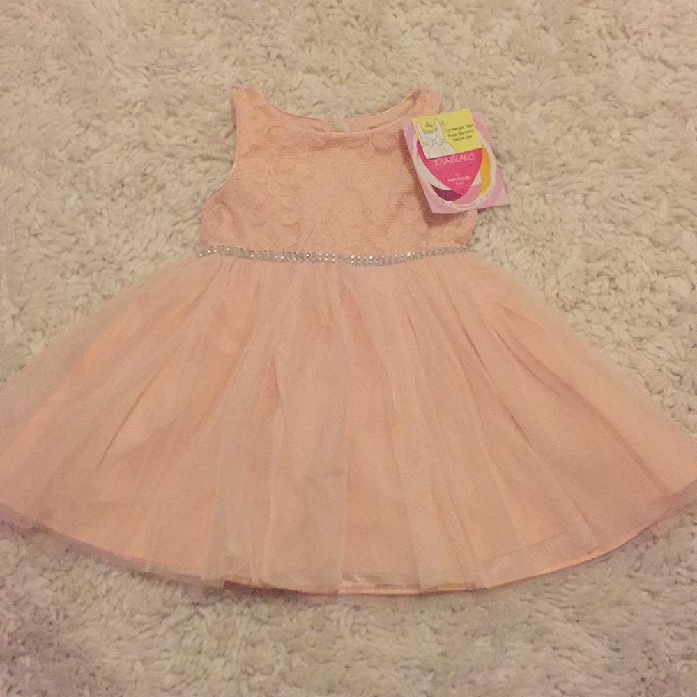 Pink dress with tule skirt